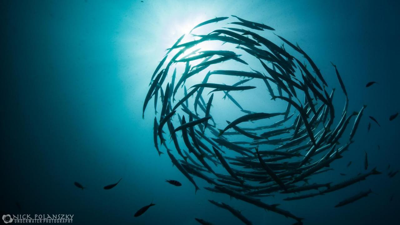 Forra Dive Resort Sunrise Koh Lipe Extérieur photo