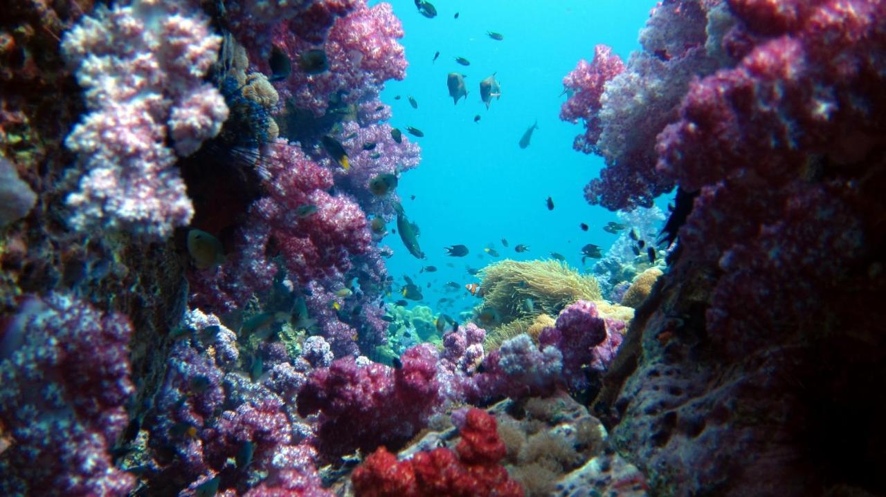 Forra Dive Resort Sunrise Koh Lipe Extérieur photo