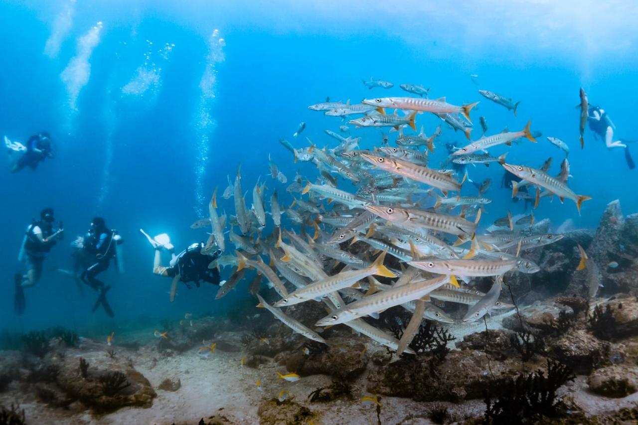 Forra Dive Resort Sunrise Koh Lipe Extérieur photo